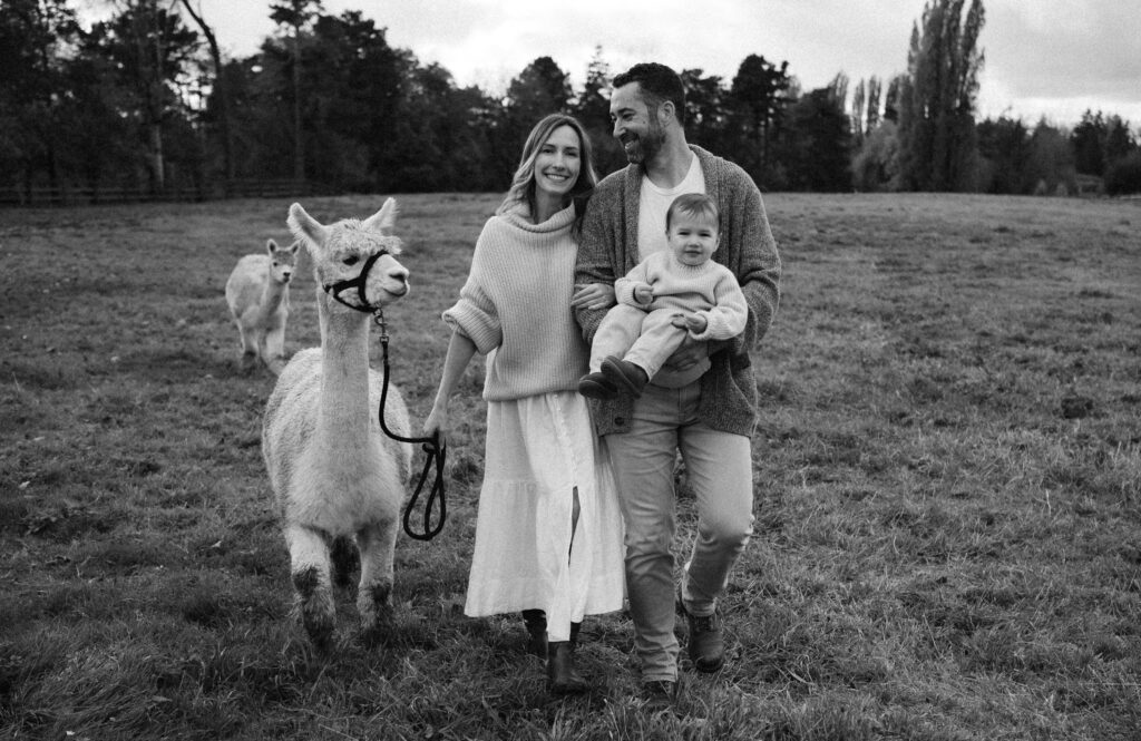 The Alpaca Experience at Kensington Prairie Farm