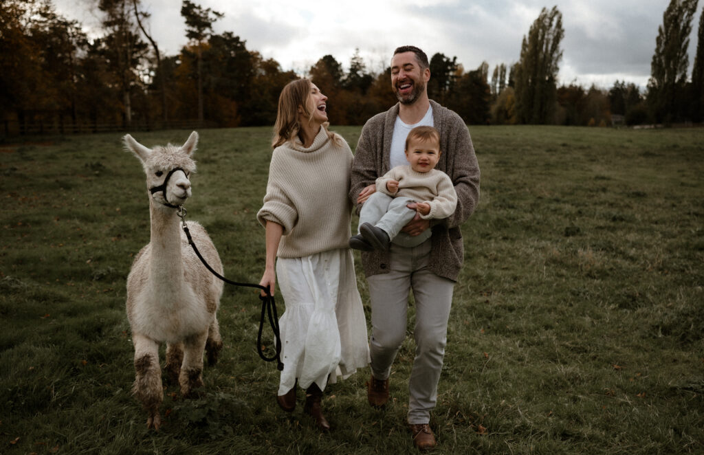 The Alpaca Experience at Kensington Prairie Farm