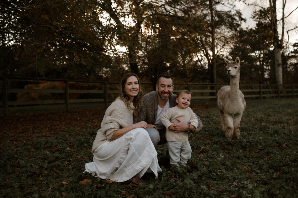 The Alpaca Experience at Kensington Prairie Farm