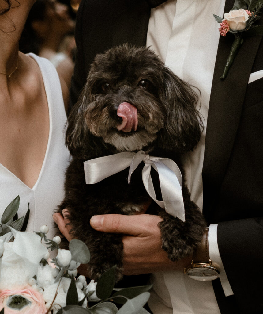 Vancouver Elopement Photographer